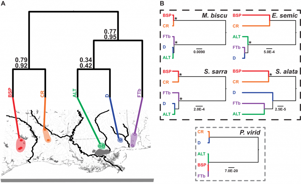 A New (quantitative!) Method For Comparative Phylogeography