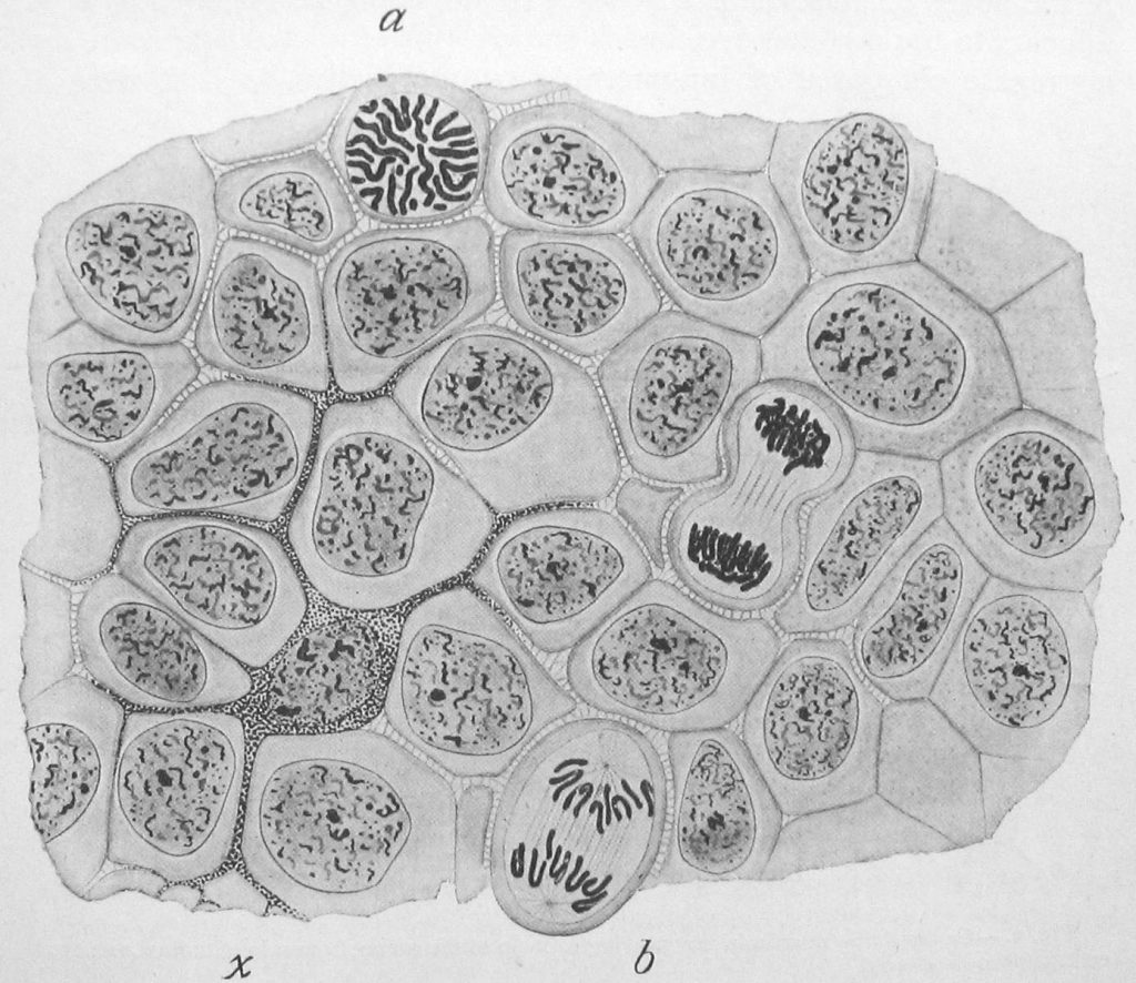 rna-data-ruins-a-tempting-just-so-story-of-mutualism-between-algae-and